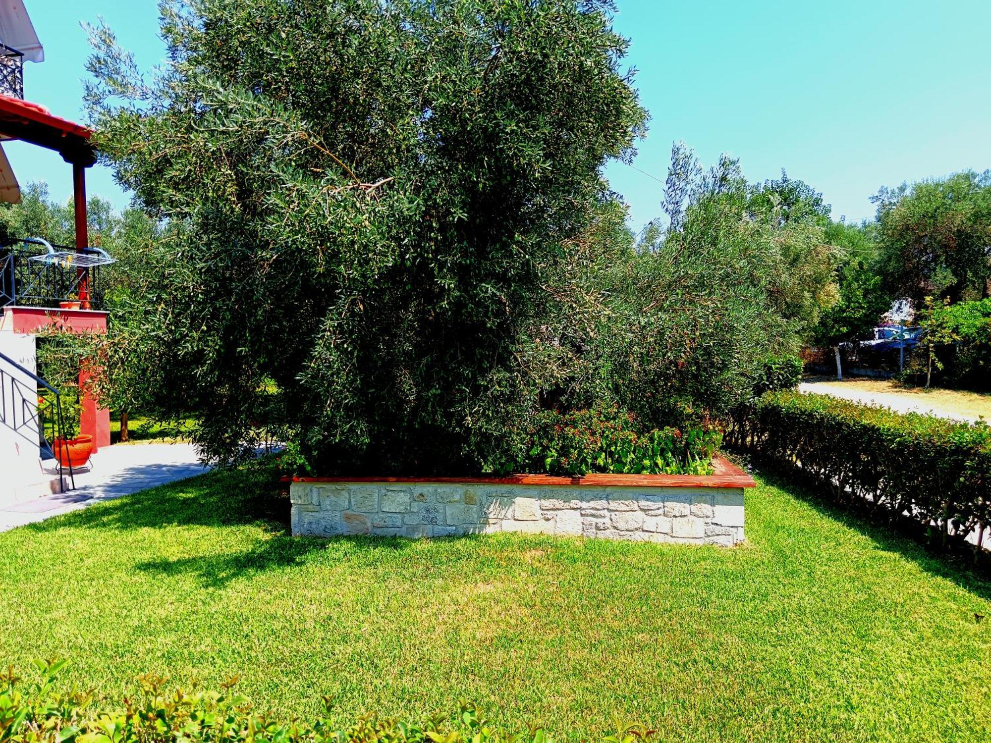 Giorgos Apartments. Skála Foúrkas 外观 照片